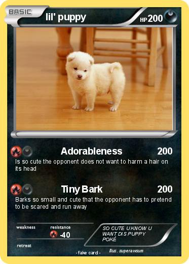 Pokemon lil' puppy