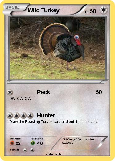 Pokemon Wild Turkey