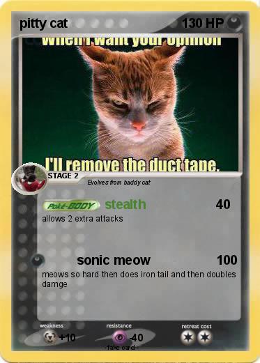 Pokemon pitty cat