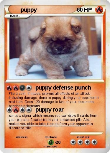 Pokemon puppy