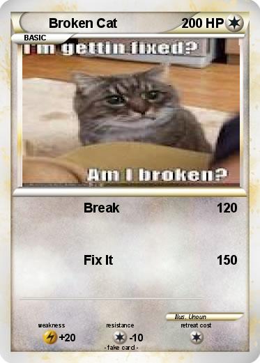 Pokemon Broken Cat