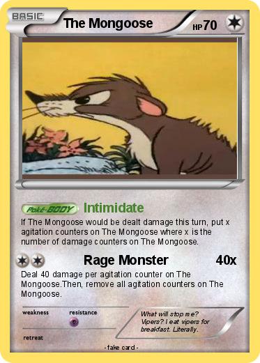 Pokemon The Mongoose