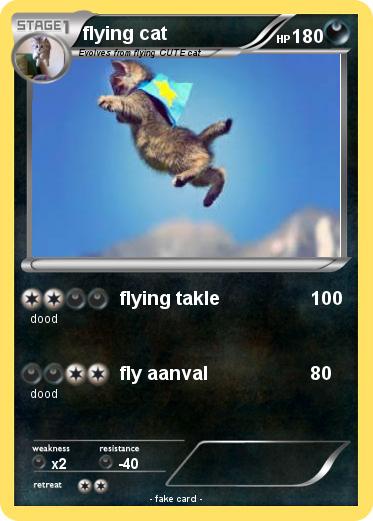 Pokemon flying cat