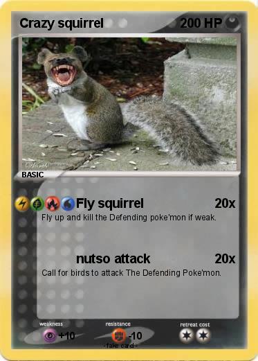 Pokemon Crazy squirrel