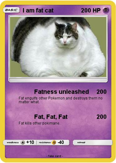 Pokemon I am fat cat