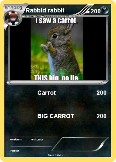 Pokemon Rabbid rabbit