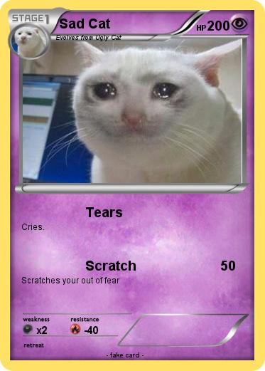 Pokemon Sad Cat