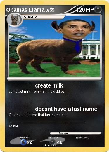 Pokemon Obamas Llama