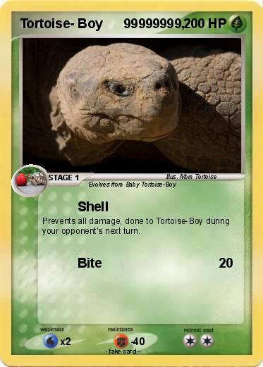 Pokemon Tortoise- Boy      99999999,