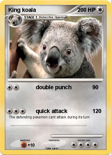 Pokemon King koala