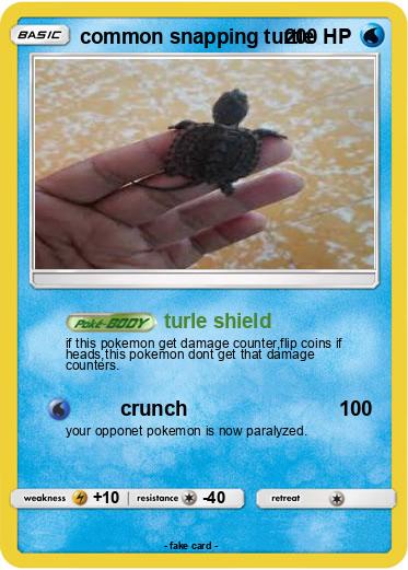 Pokemon common snapping turtle