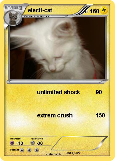 Pokemon electi-cat