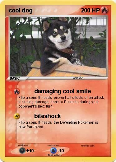 Pokemon cool dog
