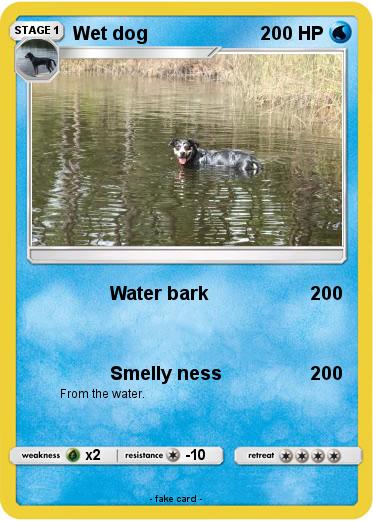 Pokemon Wet dog