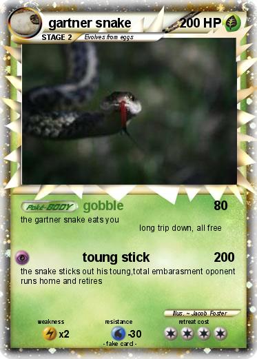 Pokemon gartner snake