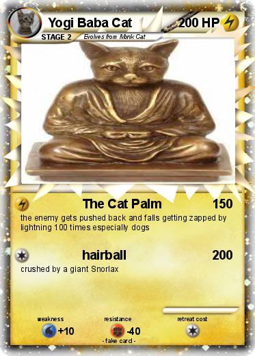 Pokemon Yogi Baba Cat