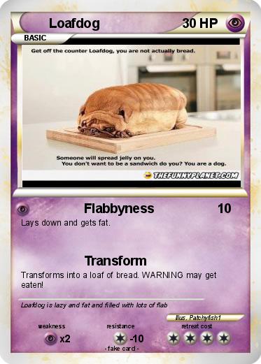 Pokemon Loafdog