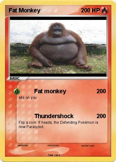 Pokemon Fat Monkey