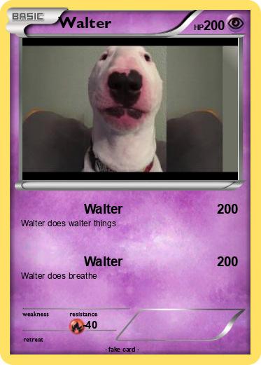 Pokemon Walter