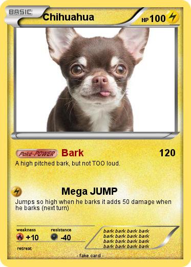 Pokemon Chihuahua
