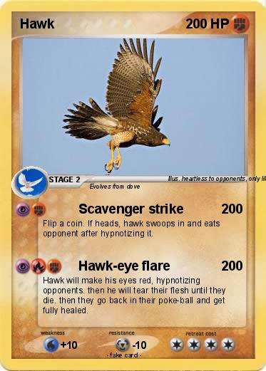 Pokemon Hawk