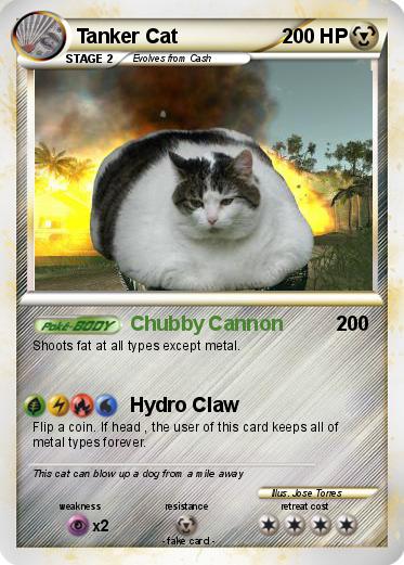Pokemon Tanker Cat