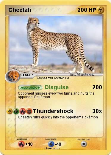 Pokemon Cheetah