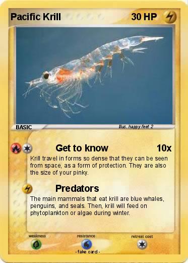 Pokemon Pacific Krill