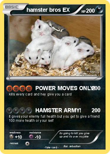 Pokemon hamster bros EX