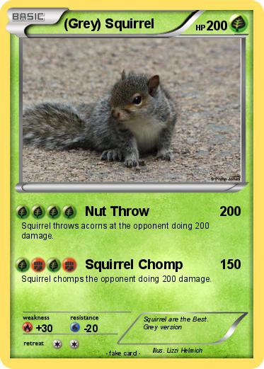 Pokemon (Grey) Squirrel