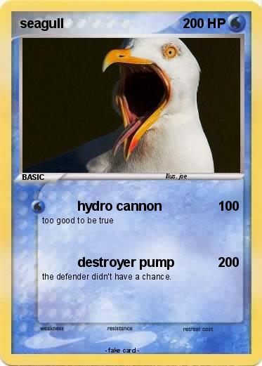 Pokemon seagull