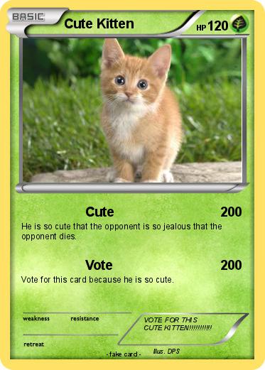 Pokemon Cute Kitten