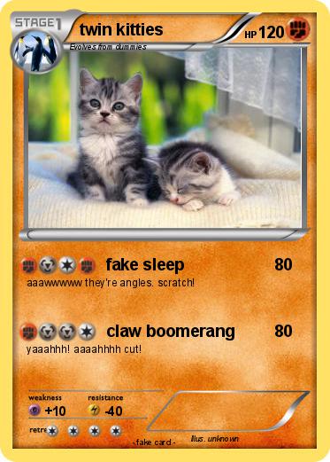 Pokemon twin kitties