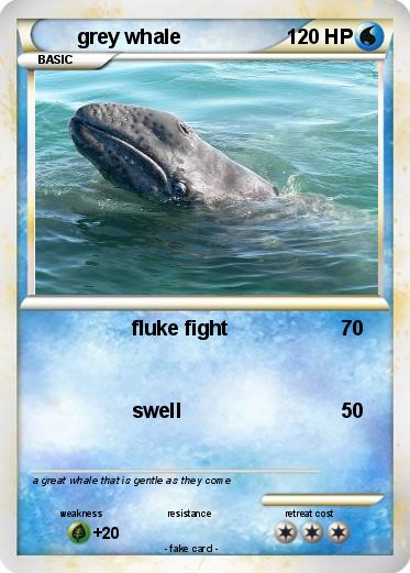 Pokemon grey whale