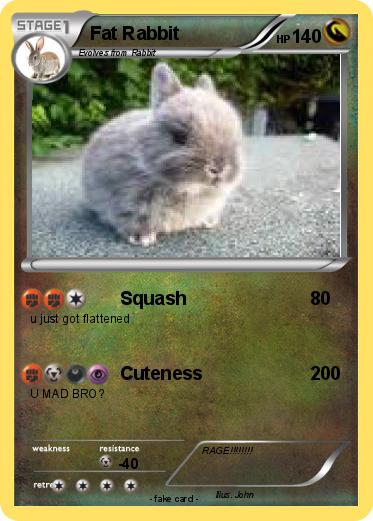 Pokemon Fat Rabbit