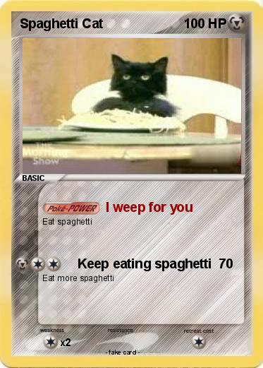 Pokemon Spaghetti Cat