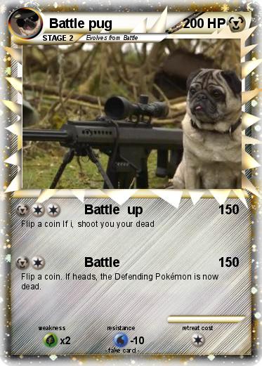 Pokemon Battle pug
