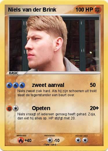 Pokemon Niels van der Brink
