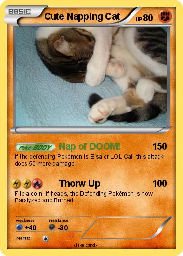 Pokemon Cute Napping Cat
