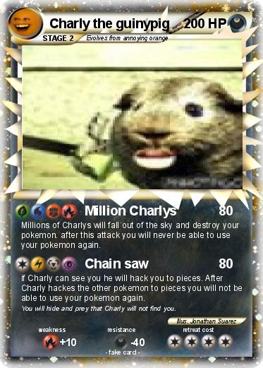 Pokemon Charly the guinypig