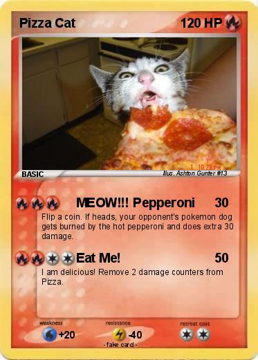 Pokemon Pizza Cat