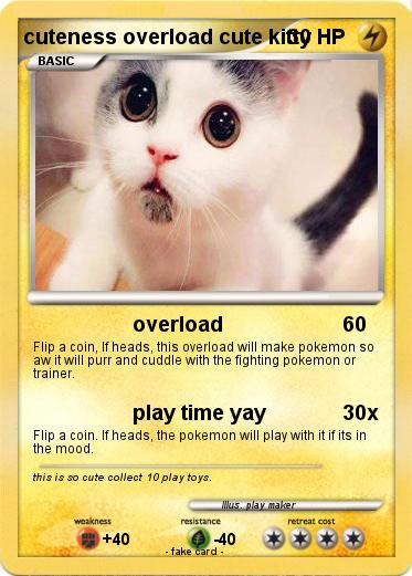 Pokemon cuteness overload cute kitty
