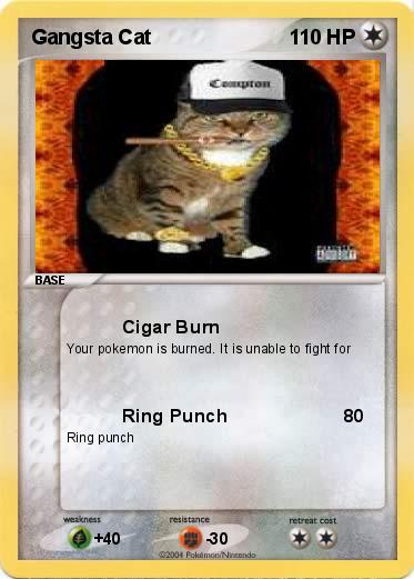 Pokemon Gangsta Cat