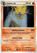 cheese cat