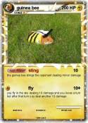 guinea bee