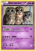 three owlcaters