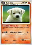Cute dog