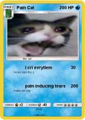 Pain Cat