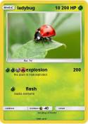 ladybug 10