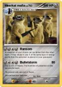 Meerkat mafia